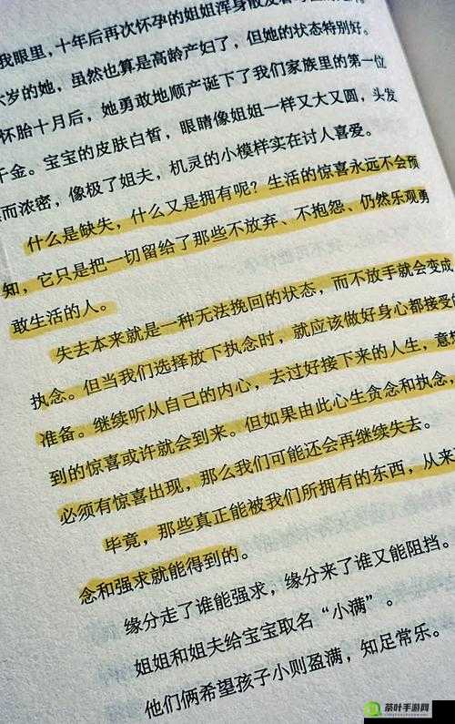 坚韧不拔铸就辉煌，荣耀背后是无数次挑战与坚持的写照