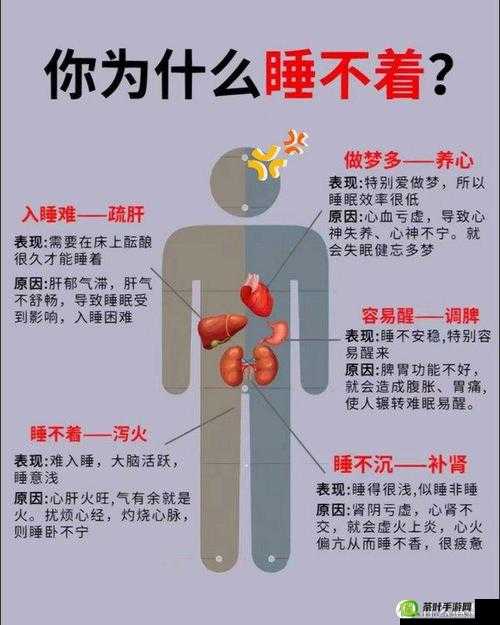 睡眠を取らなくてもいい下载：探索独特的睡眠观念与方法