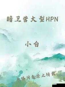 暗卫营大型 HPN 具体功能究竟为何：深入探究其详细用途