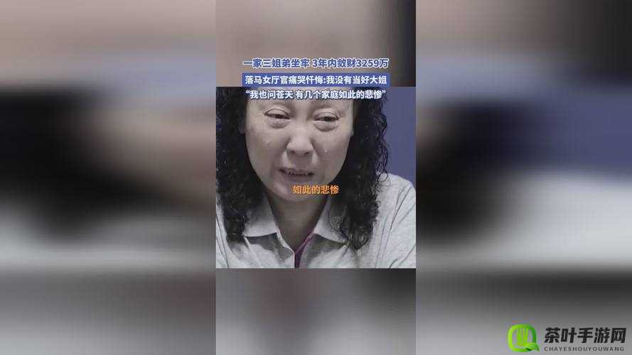 75 欧射频线和 65 欧射频线有什么区别-深入探究二者差异